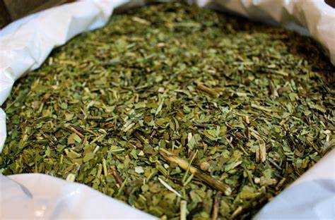 Erva de Tererê limão+menta 